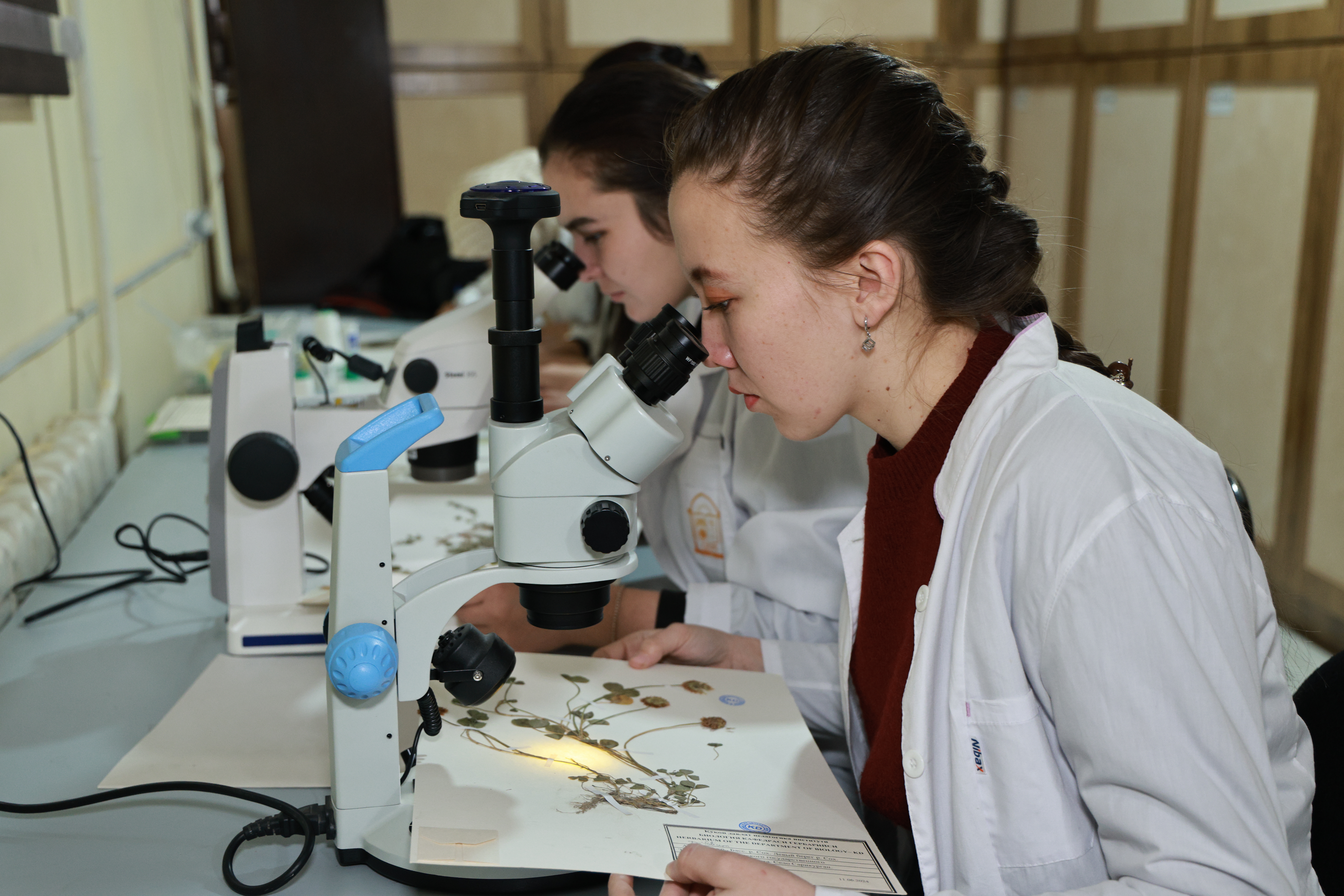 Laboratory 2